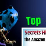 Top 10 Secrets Hidden in the Amazon Rainforest