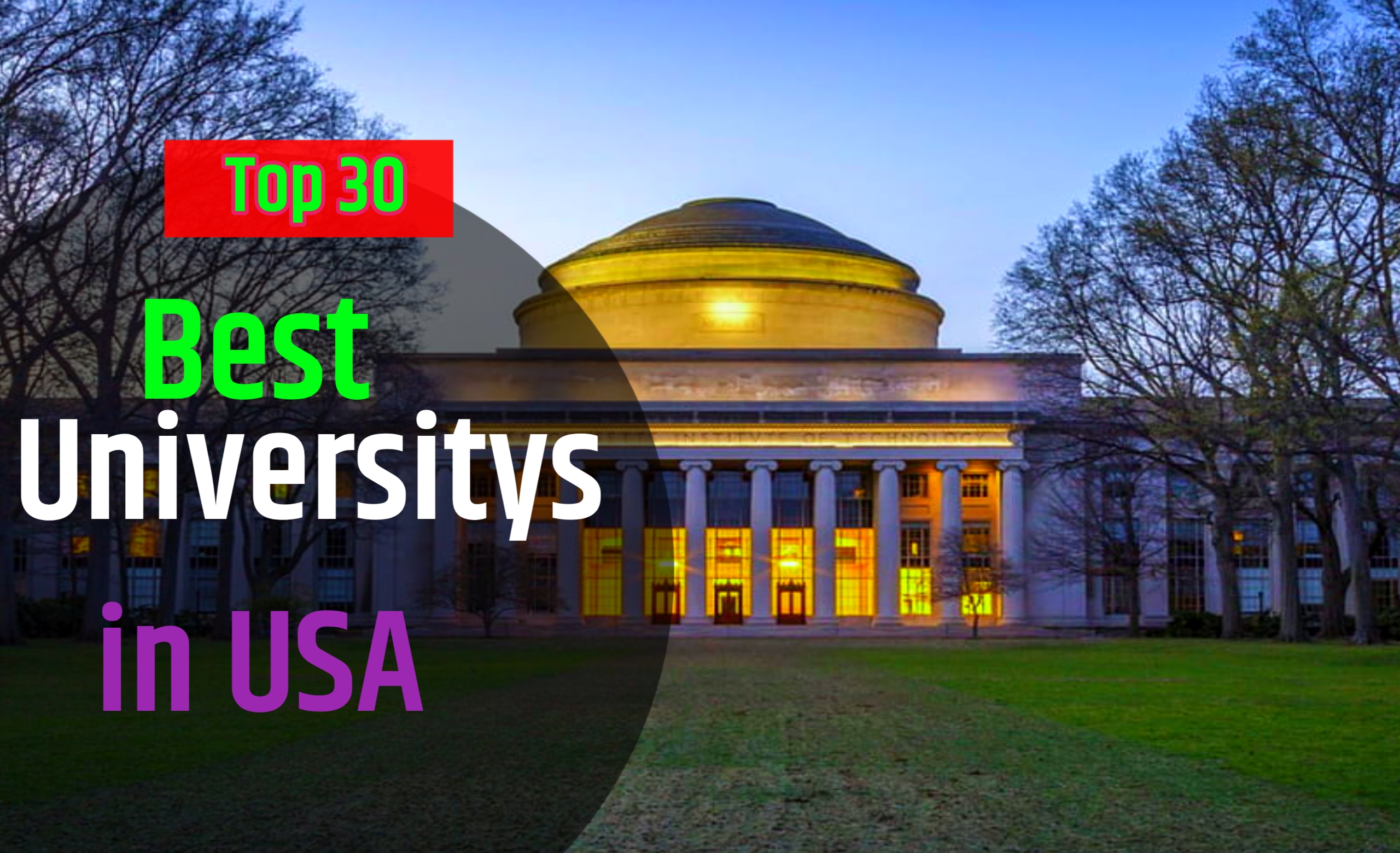 Top 30 Best Universities in the USA A Definitive Ranking