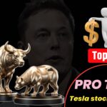 10 Best Pro Tips tesla stock for you 2025