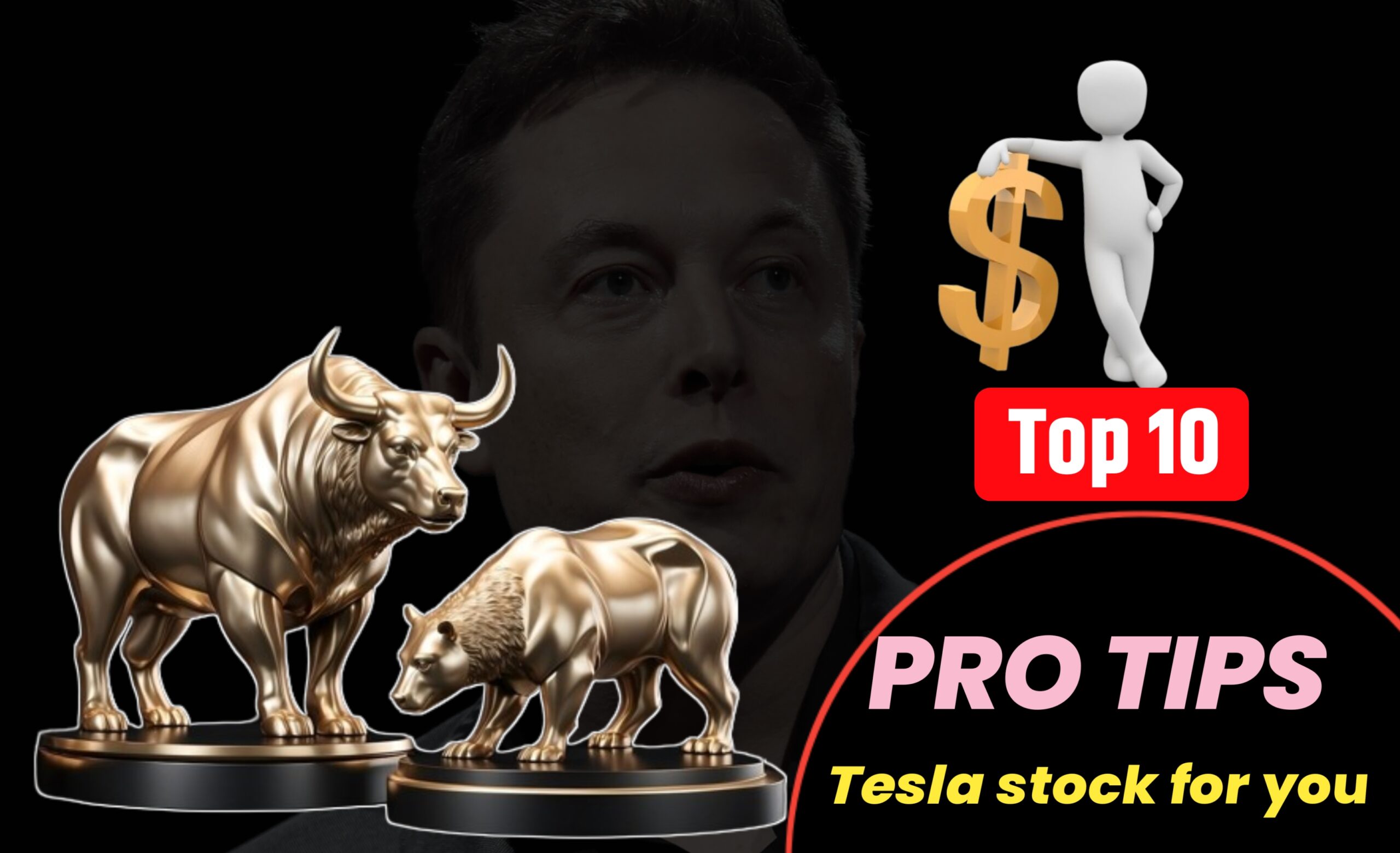 10 Best Pro Tips tesla stock for you 2025