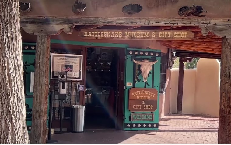 11.American international Rattlesnake museum​