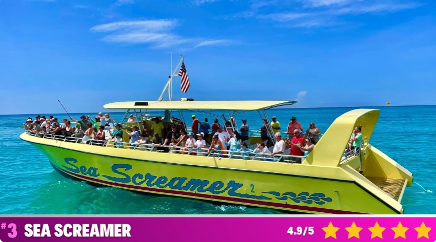 3.Sea screamer​
